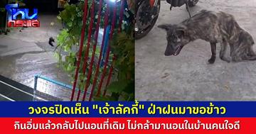 เปิดวงจรปิดยิ่งสงสาร “เจ้าลัคกี้” เดินลากขาที่พิการมาขอข้าว ก่อนกลับไปนอนที่สนามหญ้าตามเดิม ไม่กล้าเข้ามาอยู่ในบ้าน “พี่แจ๊ค” คนใจดีที่ให้ข้าว