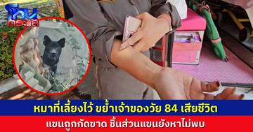 ลูกๆ ช็อก พ่อวัย 84 ปี ถูกหมาที่เลี้ยงไว้กัดจนเสียชีวิต แขนขาด หายไป ยังหาชิ้นส่วนไม่พบ