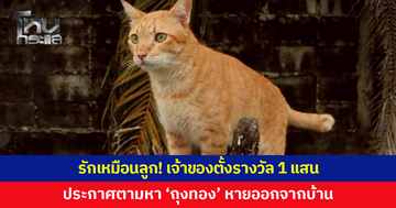 รักเหมือนลูก! เจ้าของตั้งรางวัล 1 แสน ประกาศตามหา 'ถุงทอง'