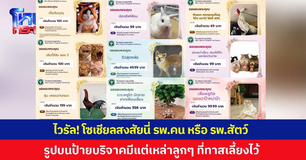 ไวรัลน่ารัก! โซเชียลสงสัยนี่ รพ.คน หรือ รพ.สัตว์ รูปบนป้ายบริจาคมีแต่บรรดาลูกๆ ที่ทาสเลี้ยงไว้ทั้งนั้น บางตัวอ่านชื่อแล้วฮาลั่น