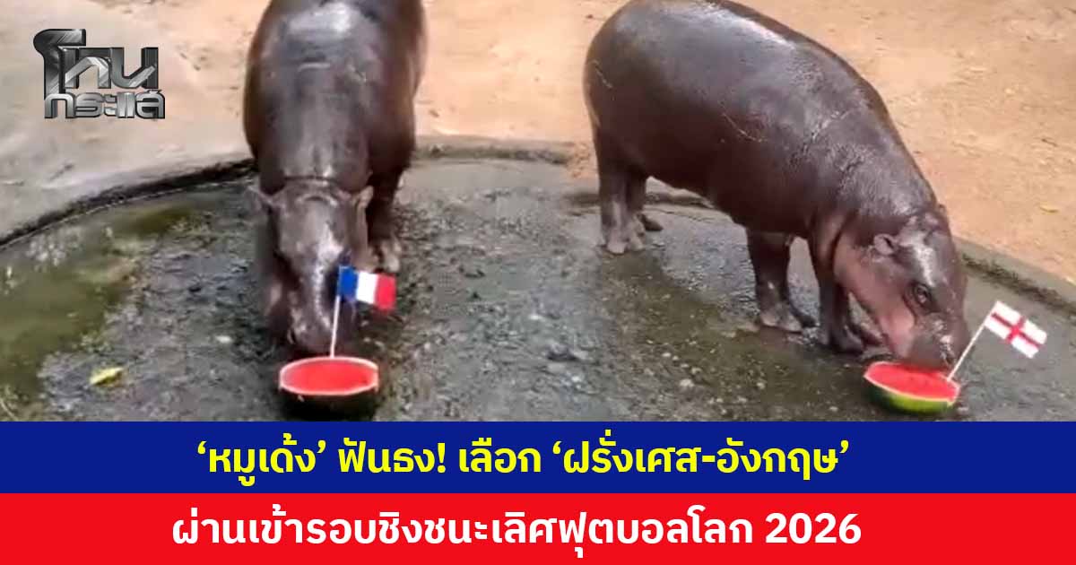 'หมูเด้ง' ฟันธง! เลือกกินแตงโมปักธงชาติ 'ฝรั่งเศส-อังกฤษ' ผ่านเข้ารอบชิงชนะเลิศฟุตบอลโลก 2026 ผอ.สวนสัตว์ฯ ย้ำจัดเพื่อความบันเทิงเท่านั้น