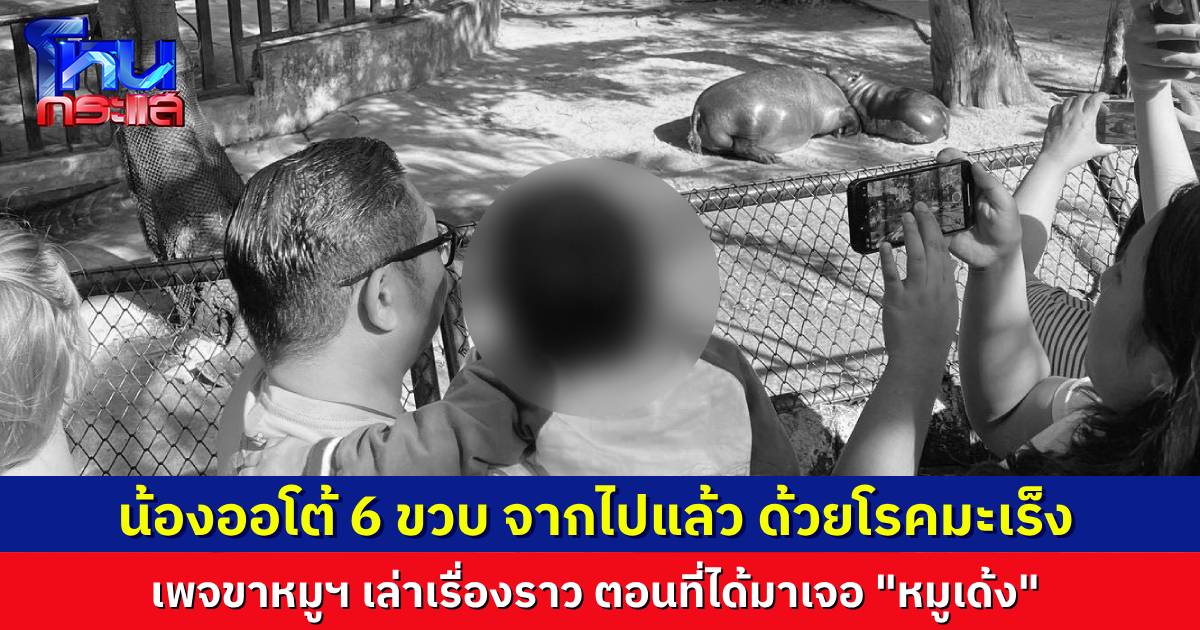 เศร้า..เรื่องราวของ “น้องออโต้” วัย 6 ขวบ ที่ได้เจอ “น้องหมูเด้ง” เป็นครั้งสุดท้าย ล่าสุดน้องเสียชีวิตแล้ว จากโรคมะเร็ง