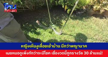หญิงเห็นงูเลื้อยเข้าบ้าน นึกว่าพญานาค เชื่องวดนี้ถูกรางวัล 30 ล้านแน่นอน