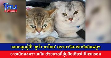 วอนหยุดบู้บี้! ‘ชูก้า-ชาไทย’ ดรามารีสอร์ทกับอินฟลูฯ ชาวเน็ตลงความเห็น ตัวขนาดนี้อุ้มมือเดียวไม่ไหวหรอก