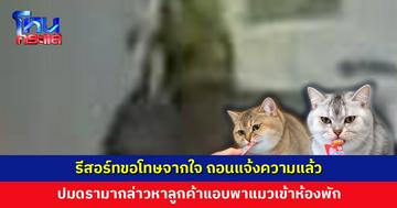 รีสอร์ทถอนแจ้งความแล้ว ปมดรามากล่าวหาลูกค้าแอบพาแมวเข้าห้องพัก