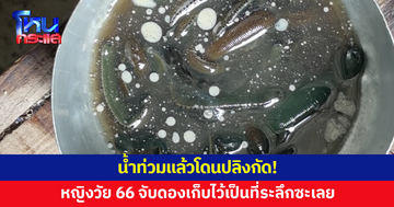 หญิงวัย 66 ดองปลิงนับสิบเก็บไว้เป็นที่ระลึก หลังถูกกัดขณะลุยน้ำท่วม