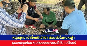 หนุ่มซุกยาบ้าวิ่งหนีเข้าป่า ซ่อนตัวในพงหญ้า ถูกแตนรุมต่อย จนต้องออกมายอมให้จับแต่โดยดี