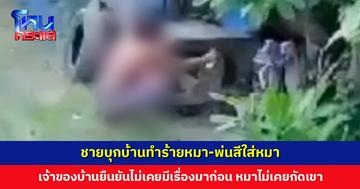 เจ้าของบ้านผวา! ชายบุกบ้านบอก “ขอดูหมาหน่อย หมาดุหรอ” ก่อนเข้ามาทำร้ายหมา พ่นสีใส่