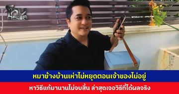 หมาข้างบ้านเห่าไม่หยุดตอนเจ้าของไม่อยู่ หาวิธีแก้มานานไม่จบสิ้น ล่าสุดเจอวิธีที่ได้ผล