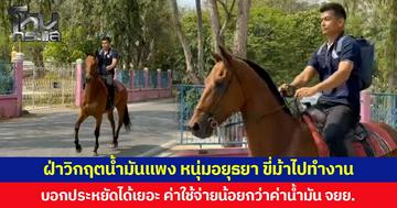 ฝ่าวิกฤตน้ำมันแพง หนุ่มอยุธยา ขี่ม้าไปทำงาน บอกประหยัดได้เยอะ ค่าใช้จ่ายน้อยกว่าค่าน้ำมัน จยย.