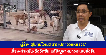 ผู้ว่าฯ สุโขทัยใจเมตตา! เปิด "จวนหมาจร" วางนโยบายแก้ปัญหาหมาจรแบบยั่งยืน