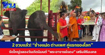 2 ขวบแล้ว! “ช้างแฝด ต่างเพศ คู่แรกของโลก” วังช้างอยุธยาแลเพนียดจัดฉลองวันเกิดยิ่งใหญ่ นิมนต์ “พระอาจารย์แดง” เสริมสิริมงคล