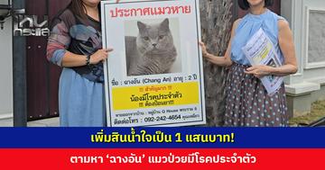 เพิ่มสินน้ำใจเป็น 1 แสนบาท! ตามหา ‘ฉางอัน’ แมวป่วยมีโรคประจำตัว