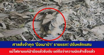 ศาลสั่งจำคุก ‘มือเผาป่า’ รายแรก! 1 ปี 4 เดือน รอลงอาญา ปรับหนักหลักแสน